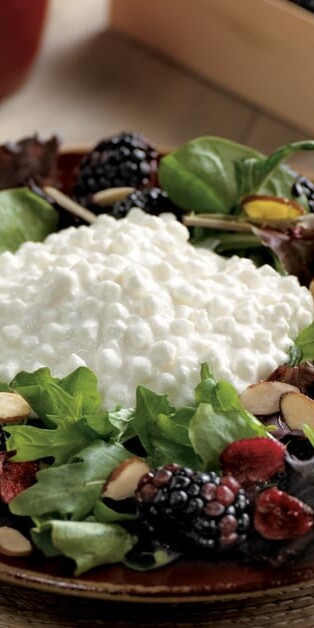 Blackberry Salad in bowl with Cottage Cheese