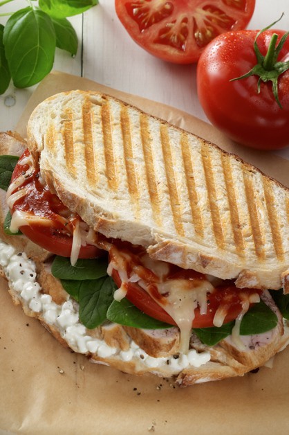 Chicken And Cheese Panini Recipe With Cottage Cheese Daisy Brand