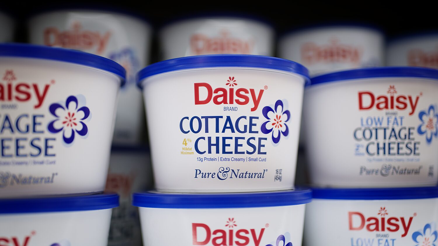 Recipes Daisy Brand Sour Cream Cottage Cheese