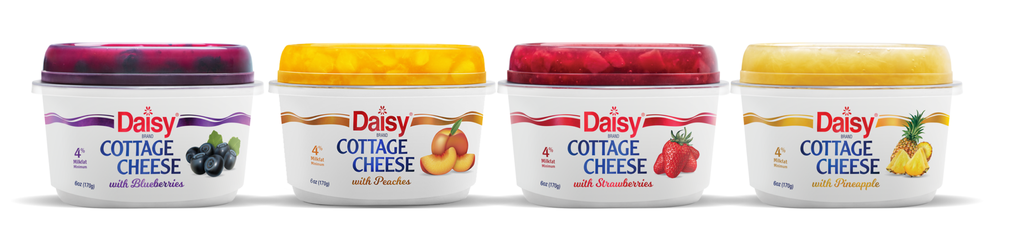 Cottage Cheese Daisy Brand Sour Cream Cottage Cheese